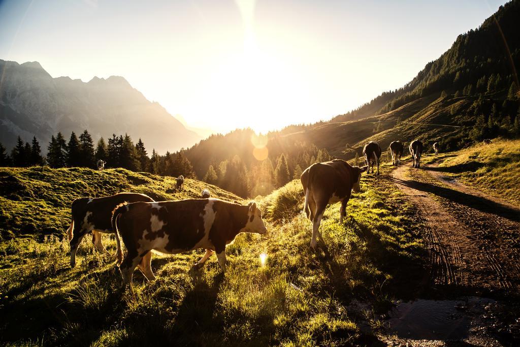 Alpin Lodge Leogang By Alpin Rentals Exterior photo